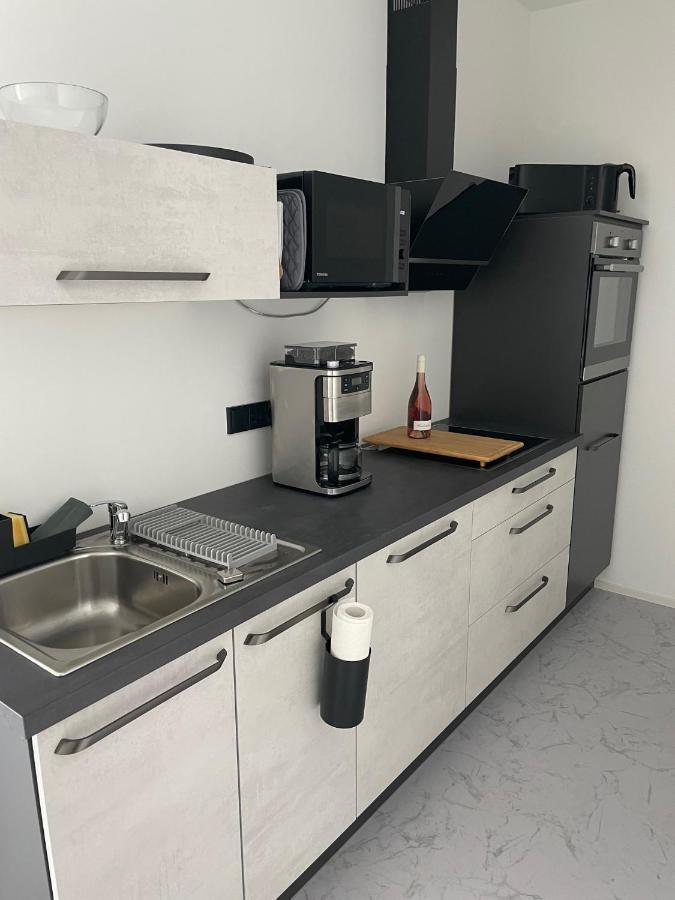 Apartments Saaldorf-Ferienhaus Mit 6 Apartments 45Qm-120Qm Direkt Am Thueringer Meer-Bleilochtalsperre Bad Lobenstein Zewnętrze zdjęcie