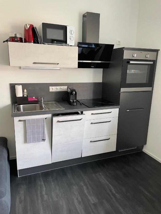 Apartments Saaldorf-Ferienhaus Mit 6 Apartments 45Qm-120Qm Direkt Am Thueringer Meer-Bleilochtalsperre Bad Lobenstein Zewnętrze zdjęcie