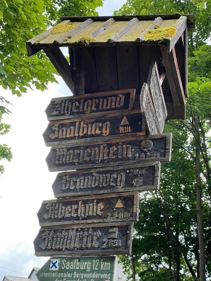 Apartments Saaldorf-Ferienhaus Mit 6 Apartments 45Qm-120Qm Direkt Am Thueringer Meer-Bleilochtalsperre Bad Lobenstein Zewnętrze zdjęcie
