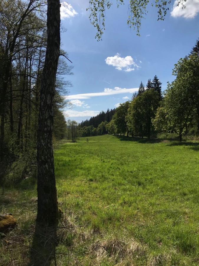 Apartments Saaldorf-Ferienhaus Mit 6 Apartments 45Qm-120Qm Direkt Am Thueringer Meer-Bleilochtalsperre Bad Lobenstein Zewnętrze zdjęcie