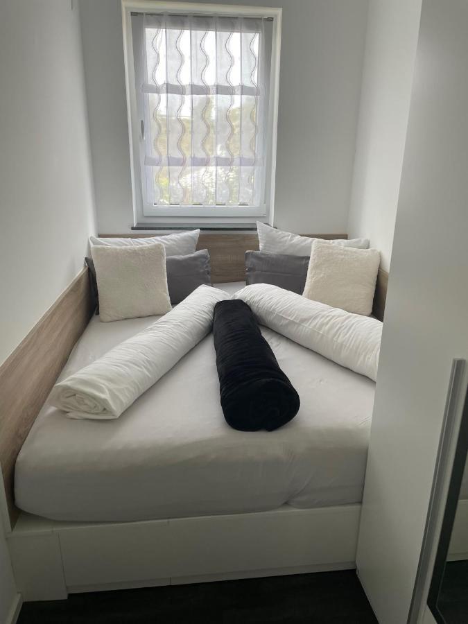 Apartments Saaldorf-Ferienhaus Mit 6 Apartments 45Qm-120Qm Direkt Am Thueringer Meer-Bleilochtalsperre Bad Lobenstein Zewnętrze zdjęcie